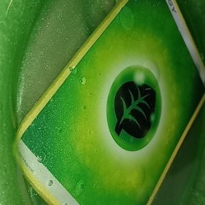 Homemade Pokemon leaf energy plate